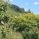 Cipolla