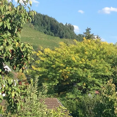 Cipolla Oberkirch (Baden)