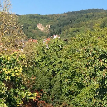 Cipolla Apartamento Oberkirch (Baden)