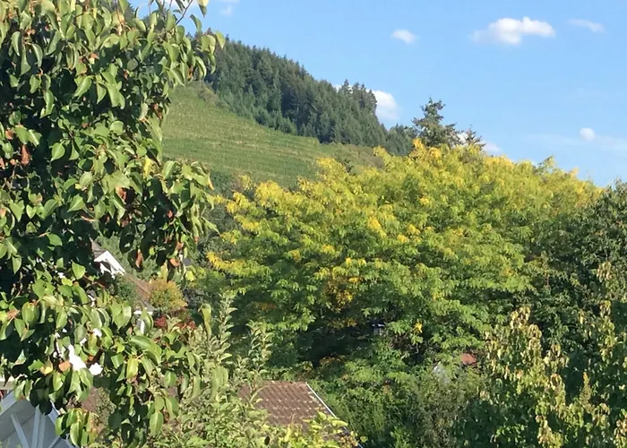 Cipolla Oberkirch (Baden)