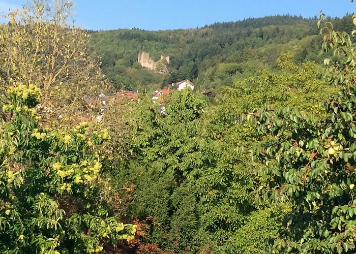 Cipolla Appartamento Oberkirch (Baden)